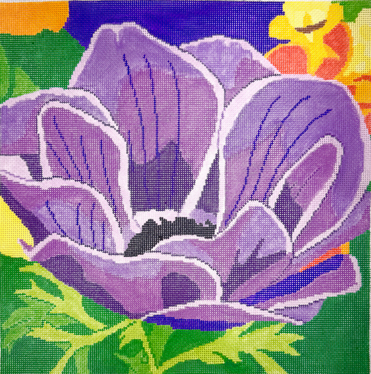Anemone Primrose #1