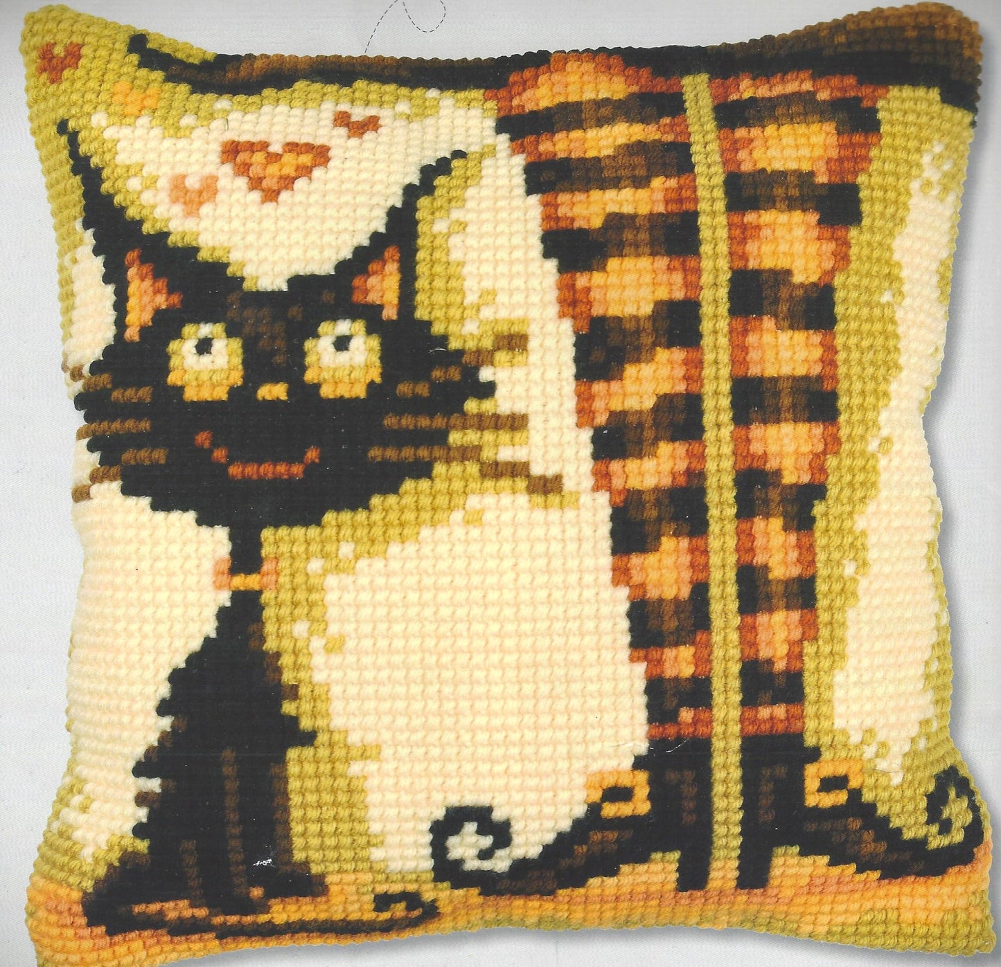 Cat Loves Her Witch Kit