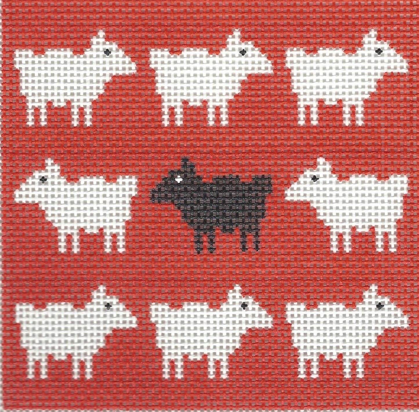 Diana Black Sheep