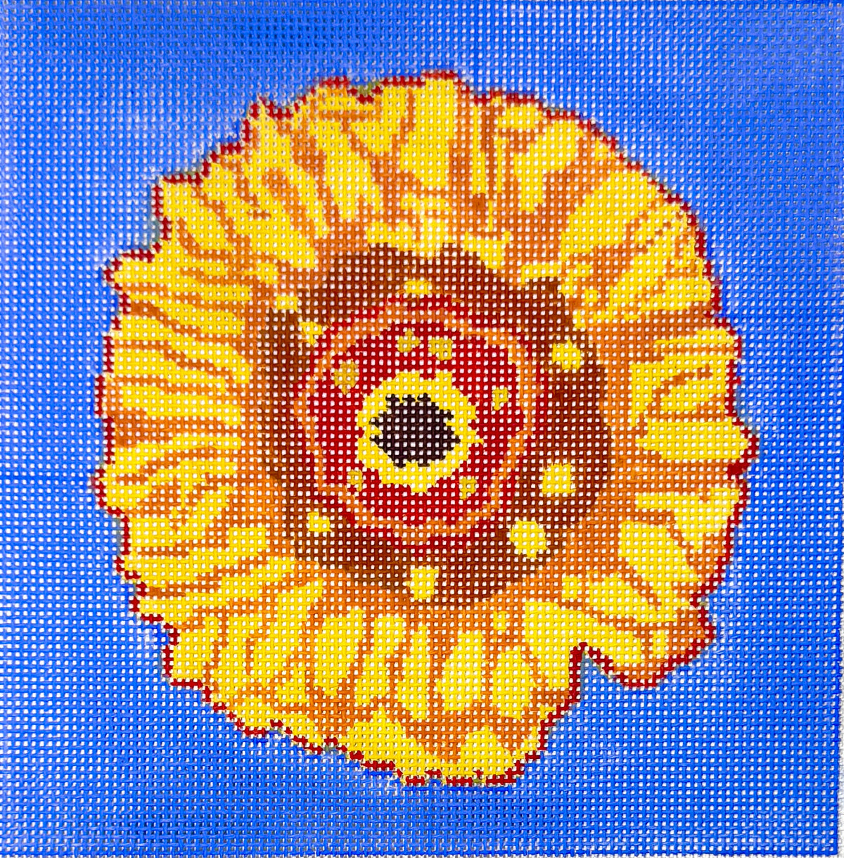 Gerber Daisy #4