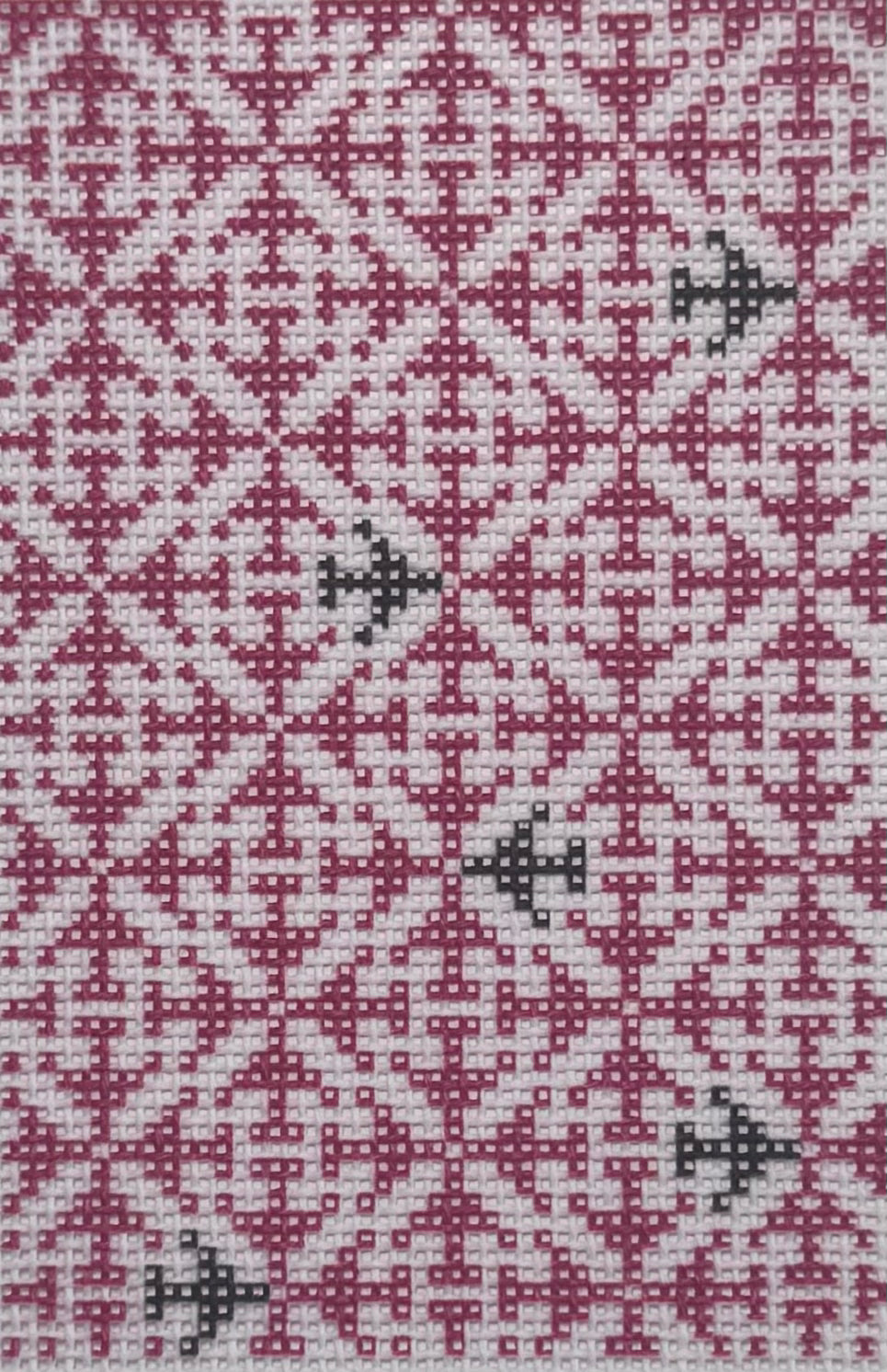 Passport Insert - Airplane Geometric Red
