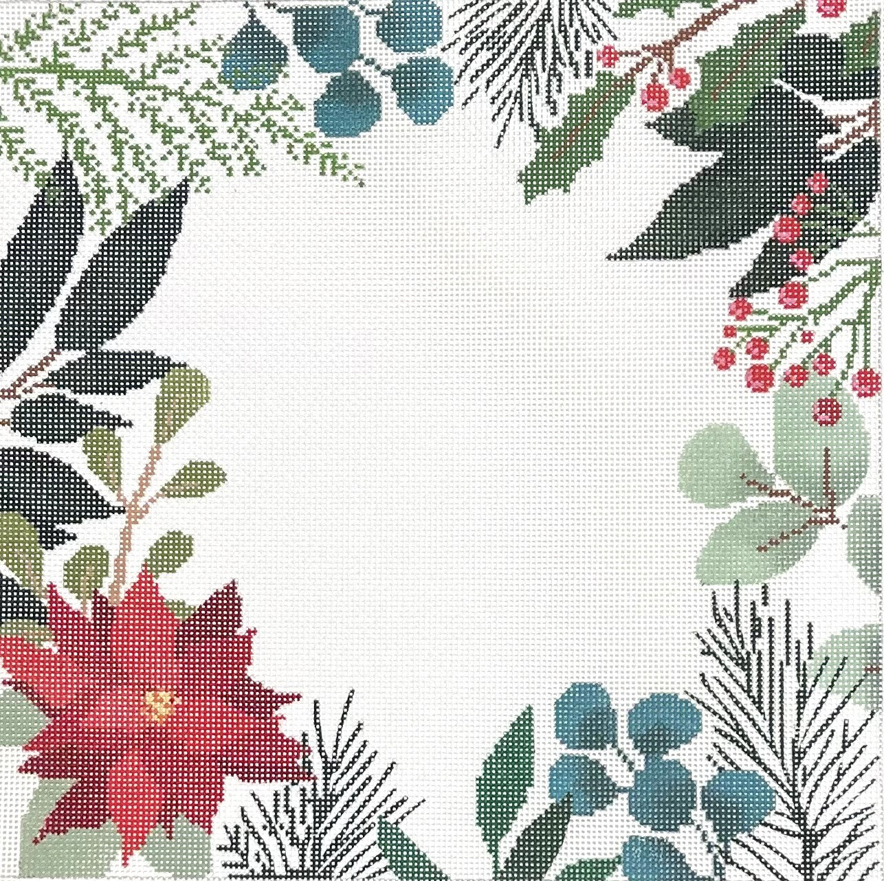 White Red Poinsettia Botanical