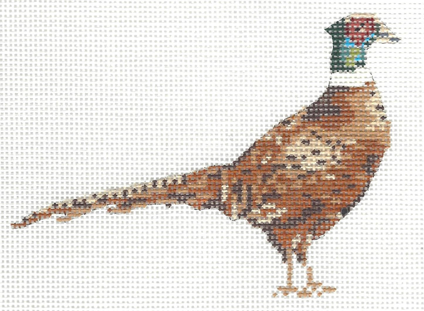 Pheasant