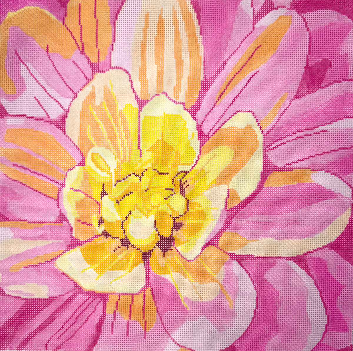 Pink Dahlia