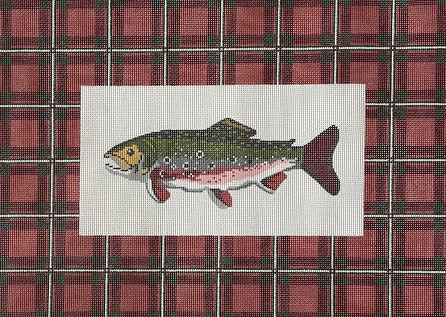 Plaid Trout