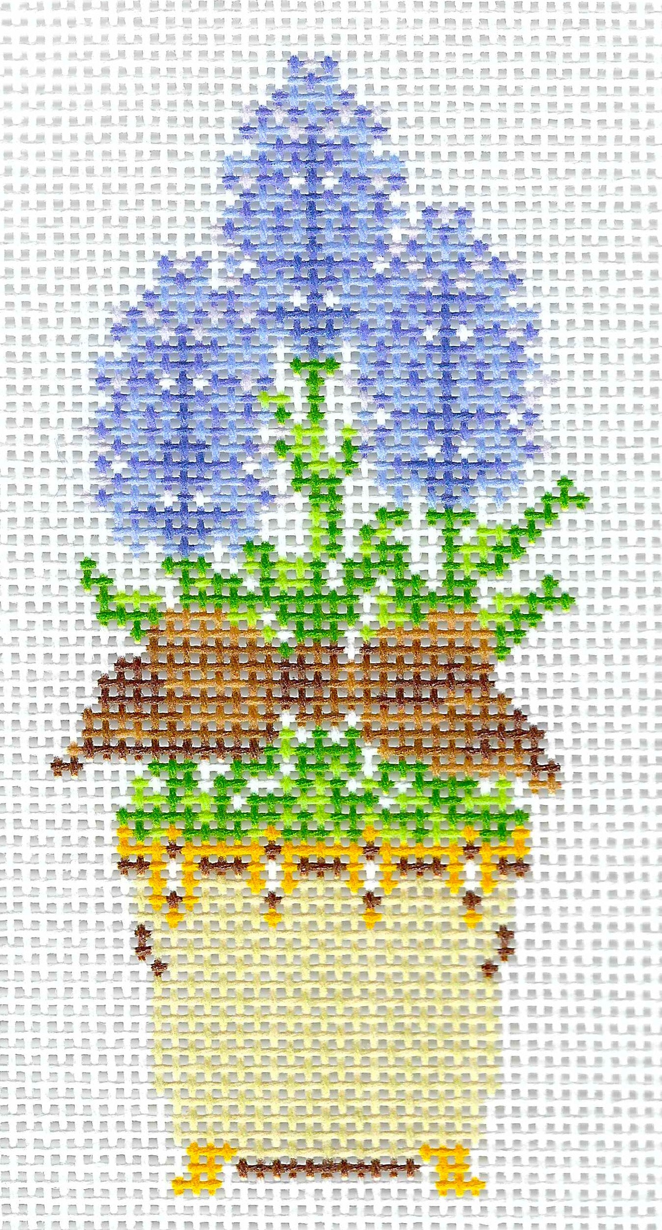 Hyacinth Topiary