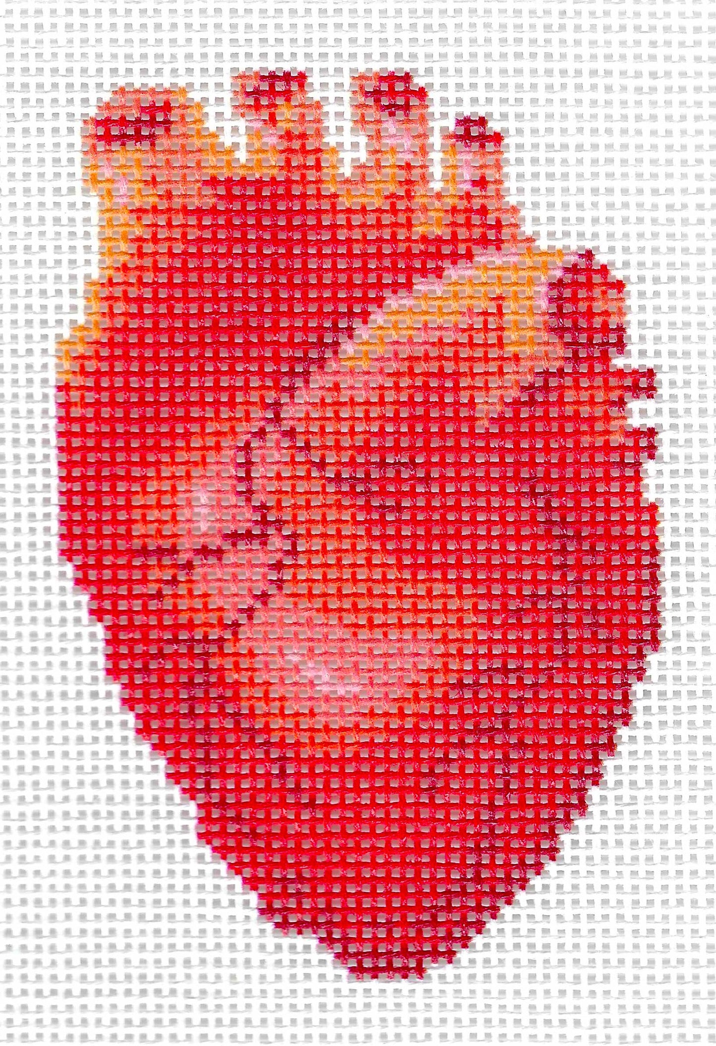 Human Anatomy Series - Heart