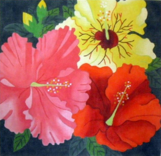 Hibiscus