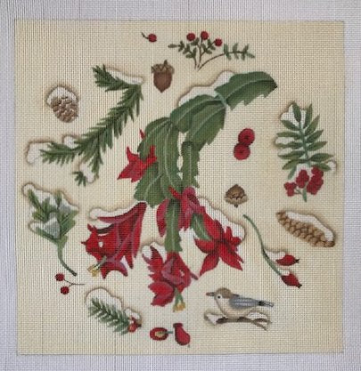 Christmas Cactus