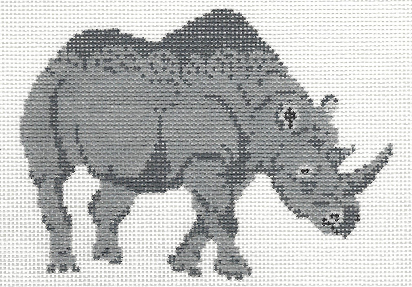 African Rhino