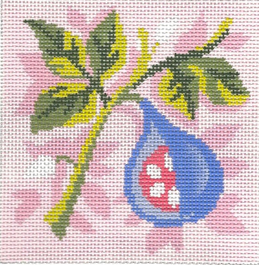 Fruit Square:  Fig