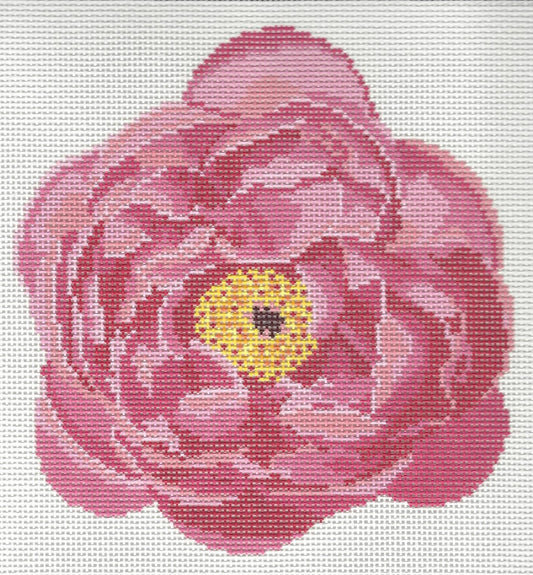 Pink Flower