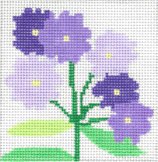 Coaster - Aster