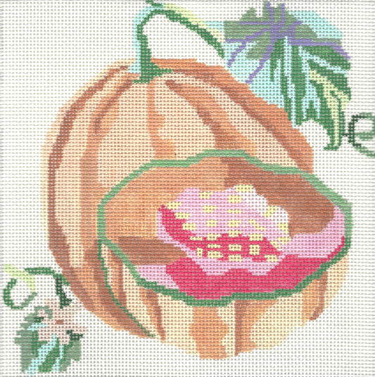 Small Cantaloupe