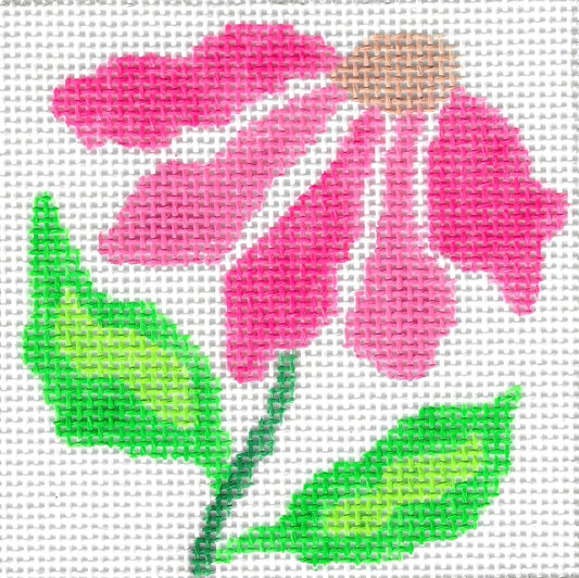 Coaster - Coneflower