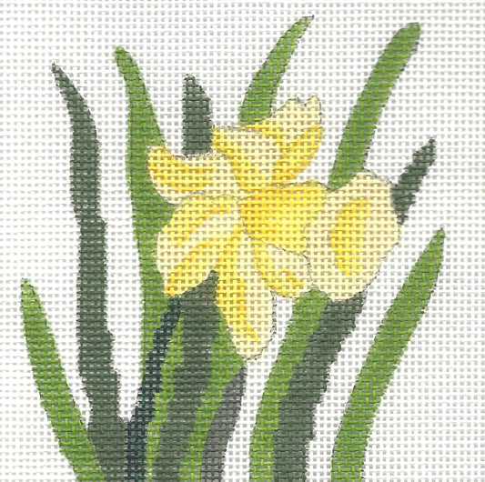 j. childs needlepoint canvas of yellow daffodil flower with green leaves on a white background
