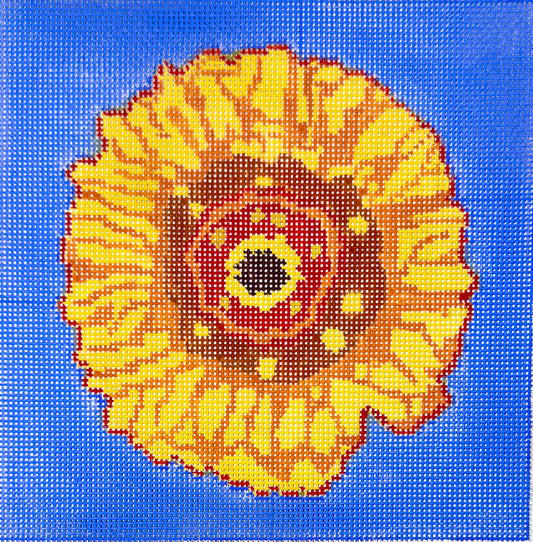 Gerber Daisy #4