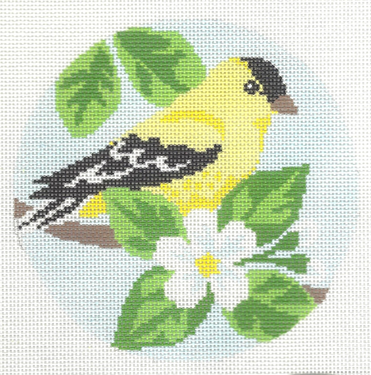 Goldfinch