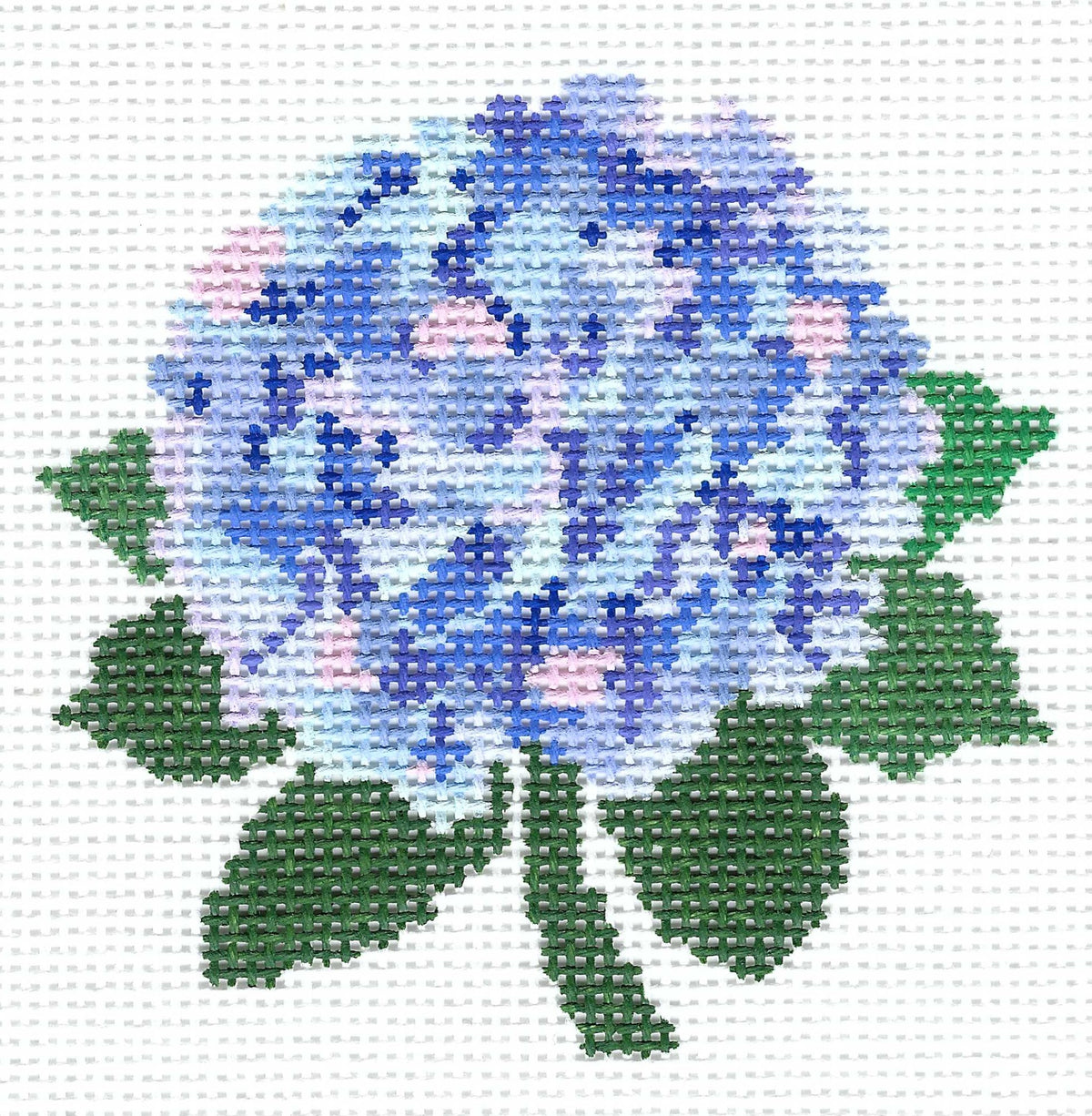 Colorful Hydrangea