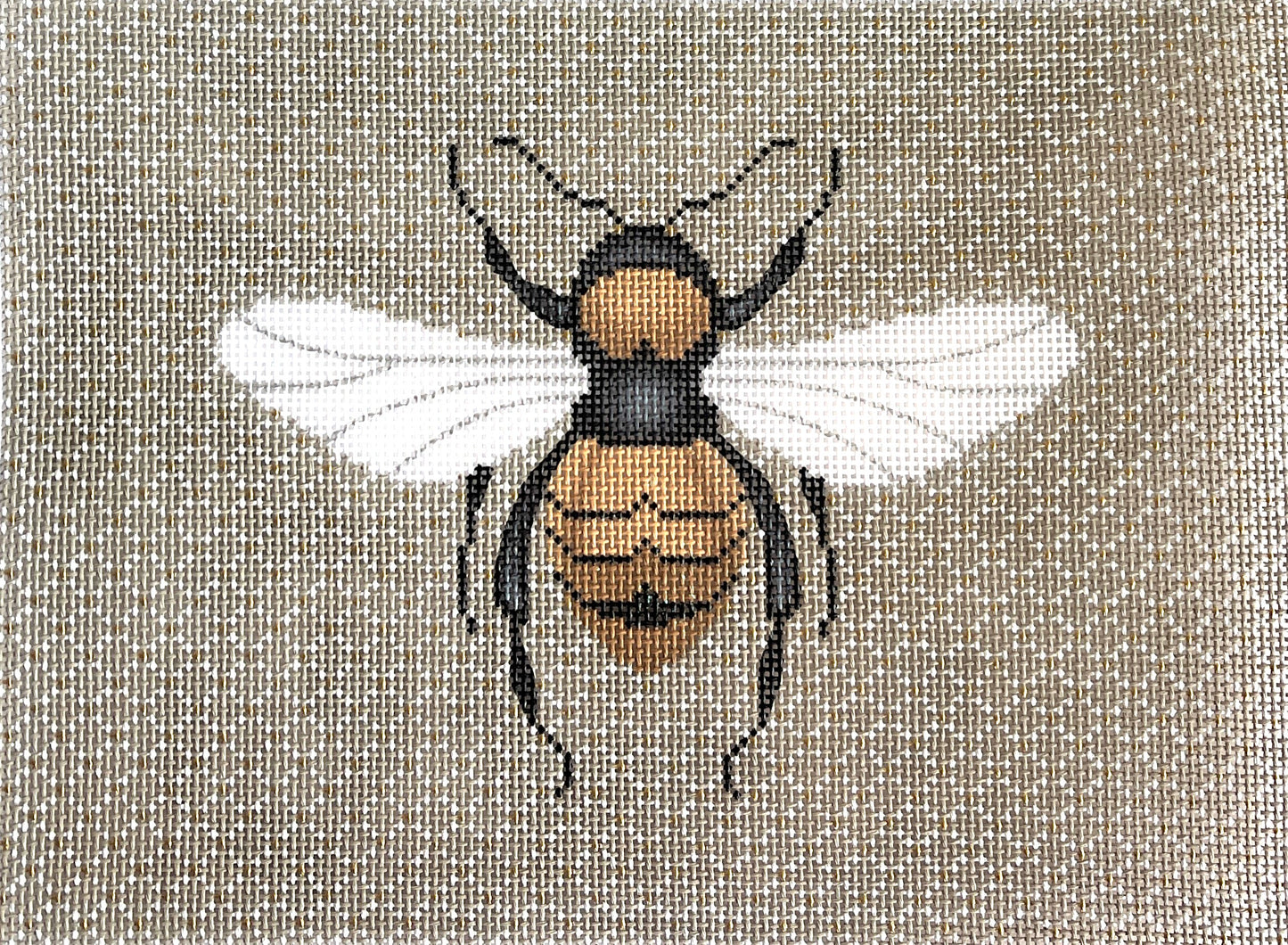 Elegant Bee