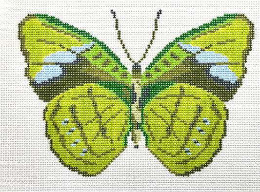 Green Butterfly