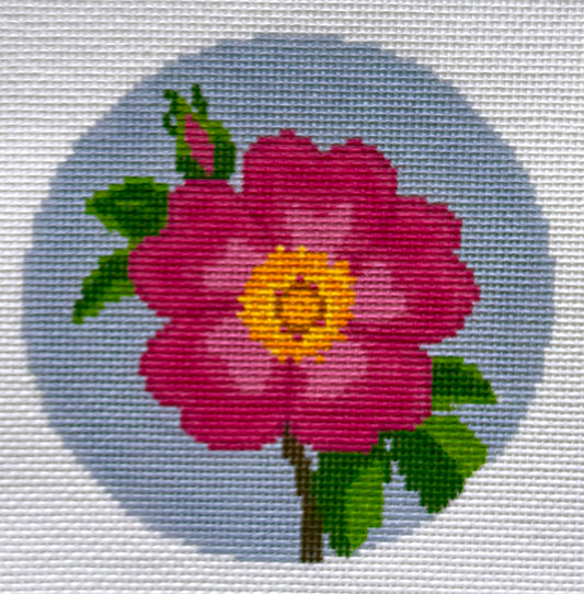 Flowers of America - Wild Prairie Rose