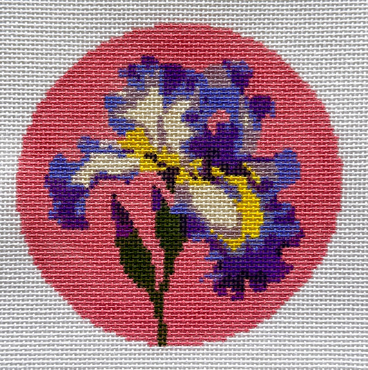 Flowers of America - Iris