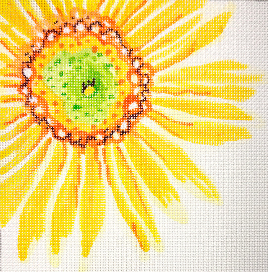 Large Sunflower