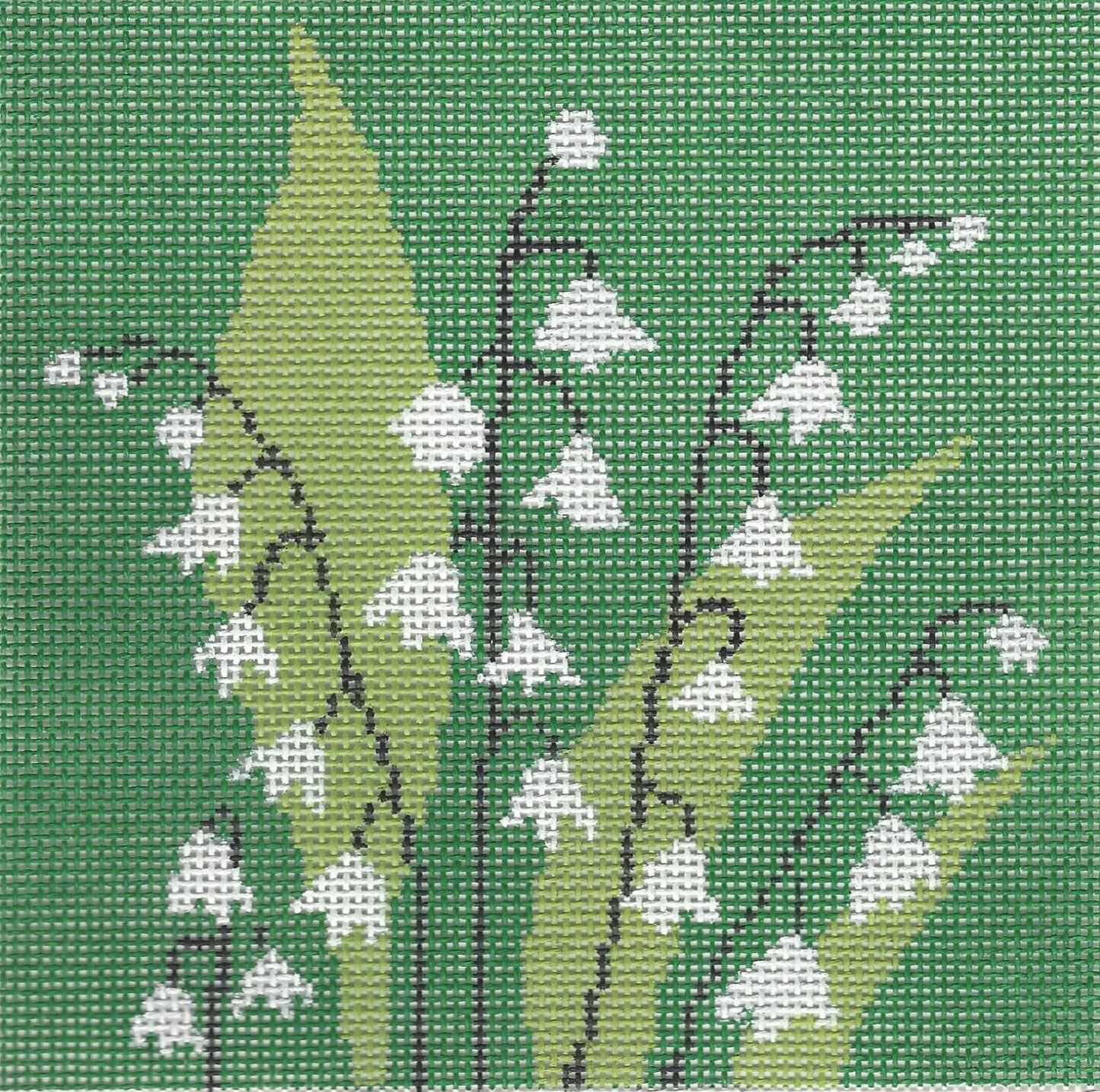 Lily of the Valley