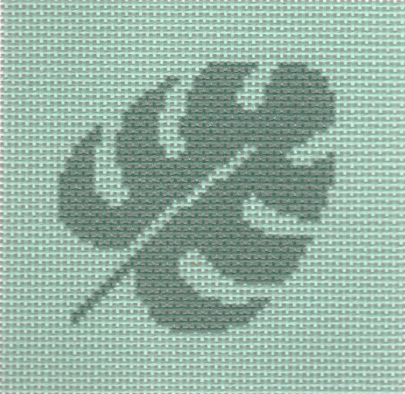 Monstera