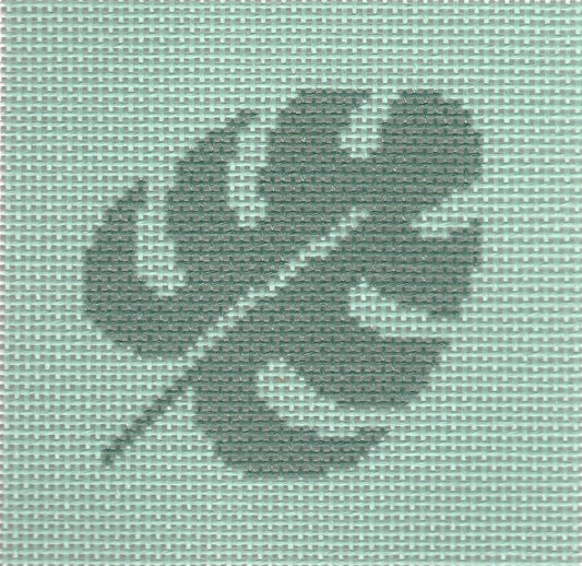 Monstera