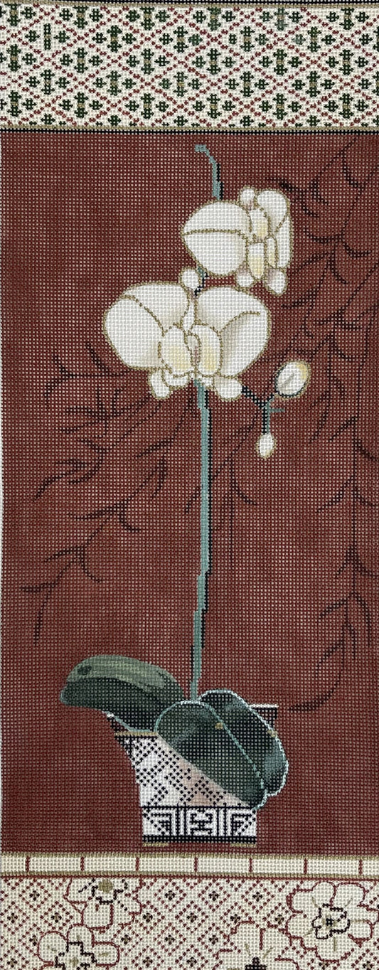 White Orchid