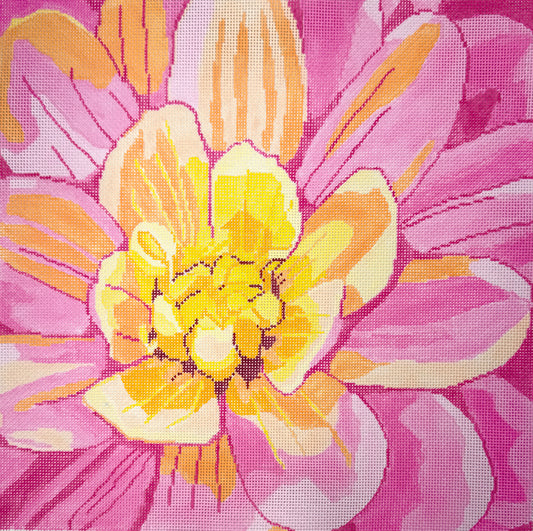 Pink Dahlia