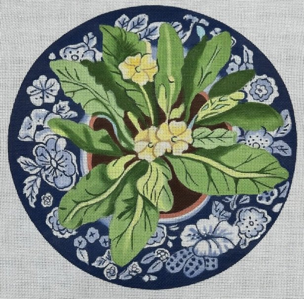 Primrose on Blue Plate
