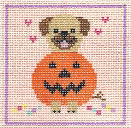 Pug in a Pumpkin