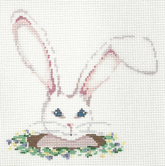 The Rabbit Hole