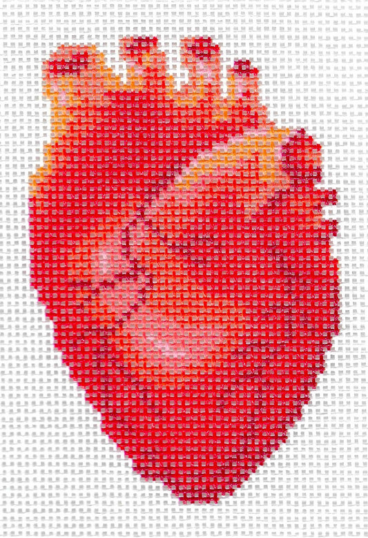 Human Anatomy Series - Heart