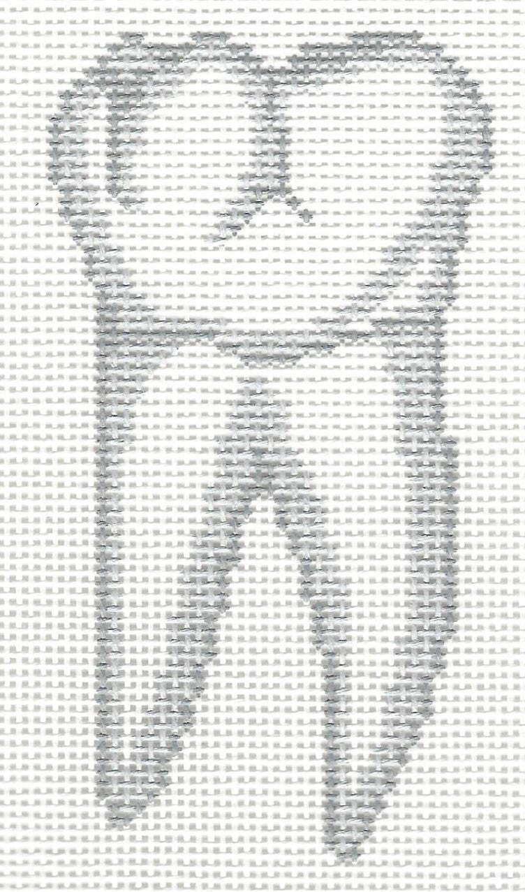 Human Anatomy Series - Tooth