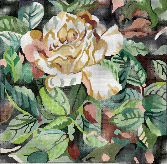White Rose
