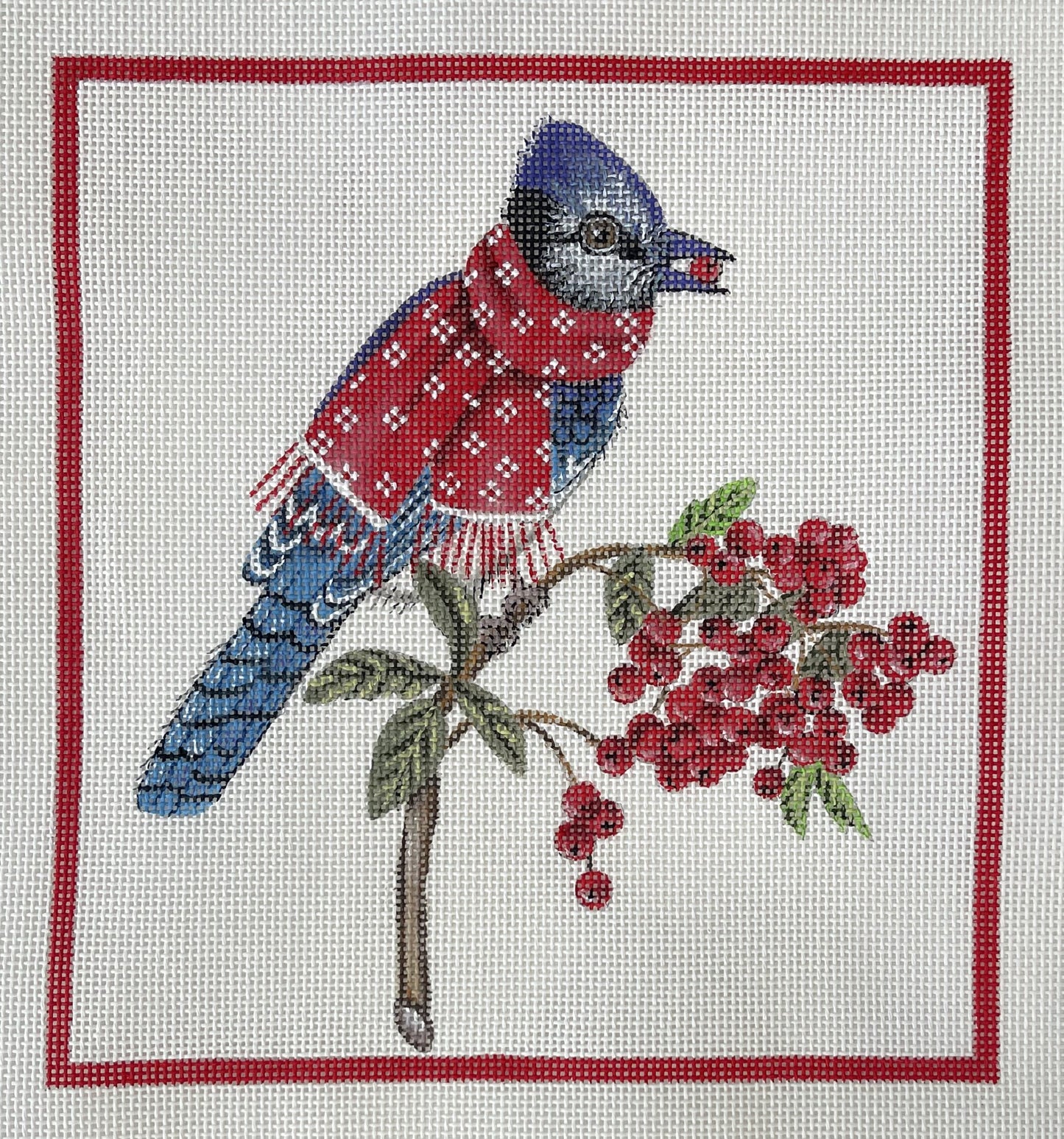 Winter Blue Jay