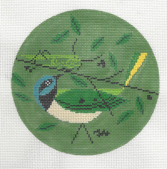 Green Jay