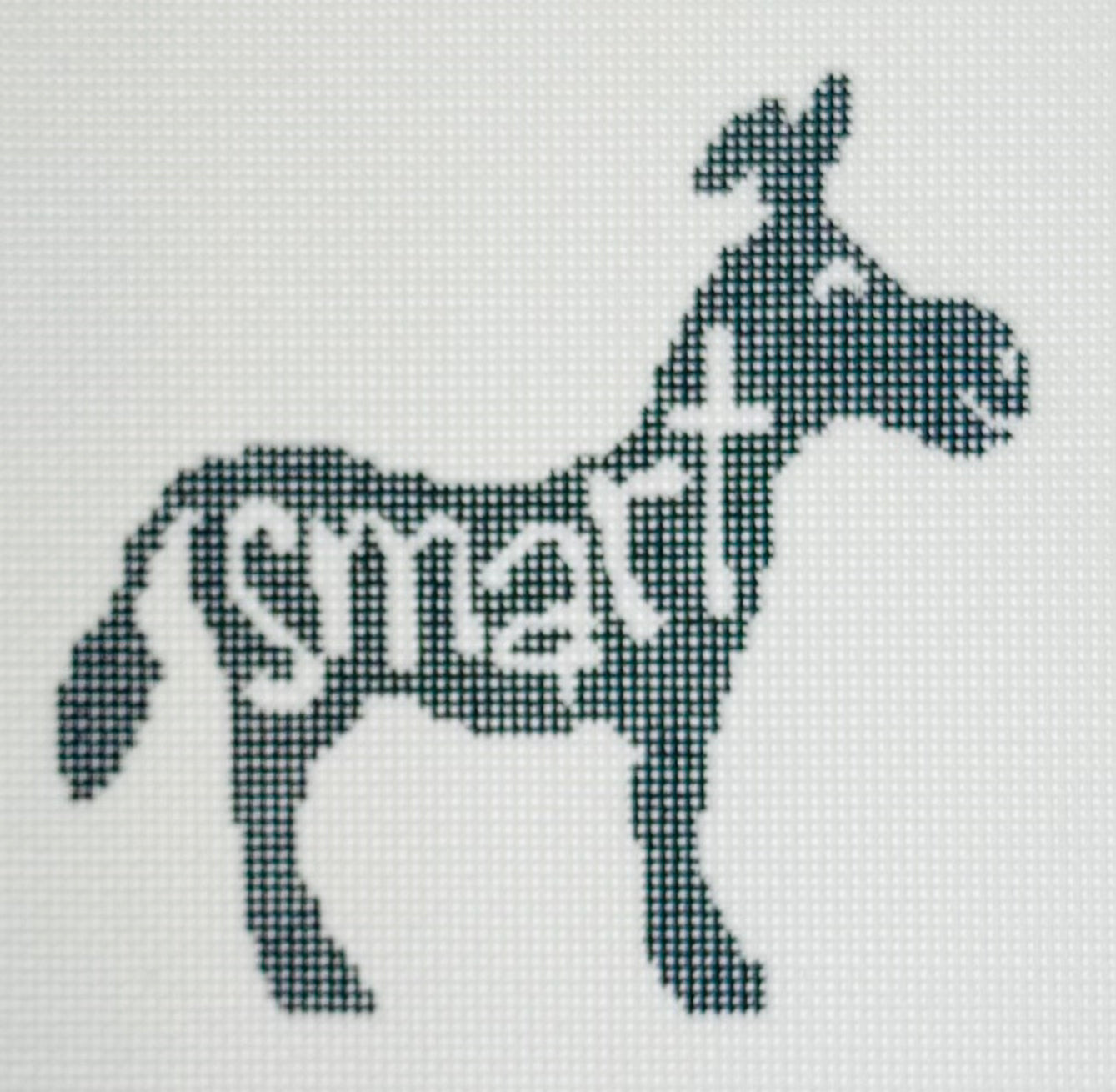 KCN Designers needlepoint canvas of a donkey with text 'Smart'.