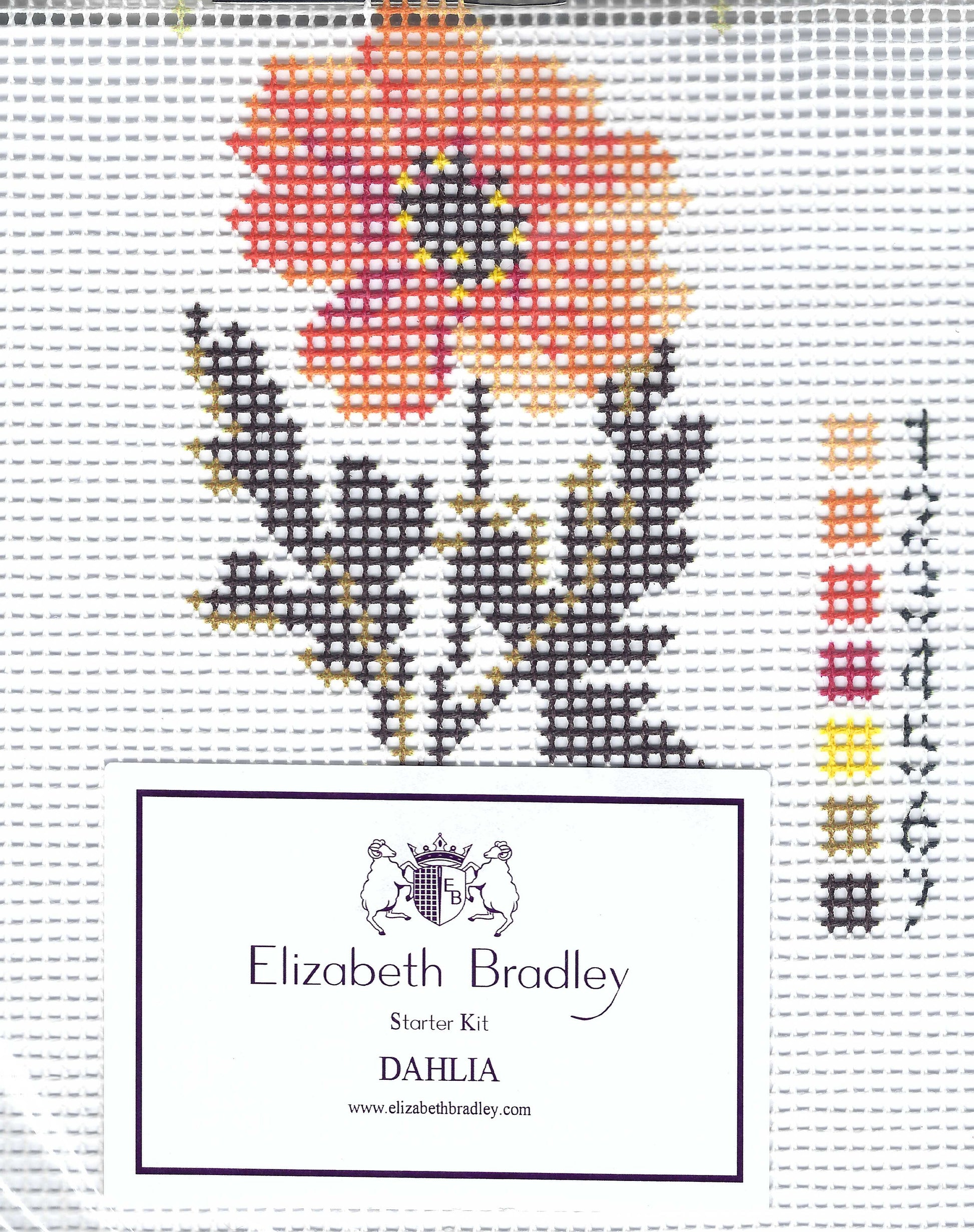 Elizabeth Bradley starter needlepoint kit featuring a dahlia flower design on white background.