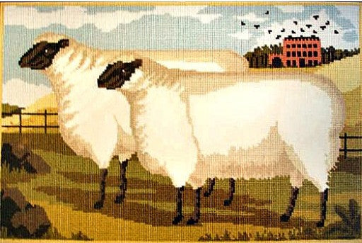 Elizabeth Bradley of two big Suffolk lambs in a field